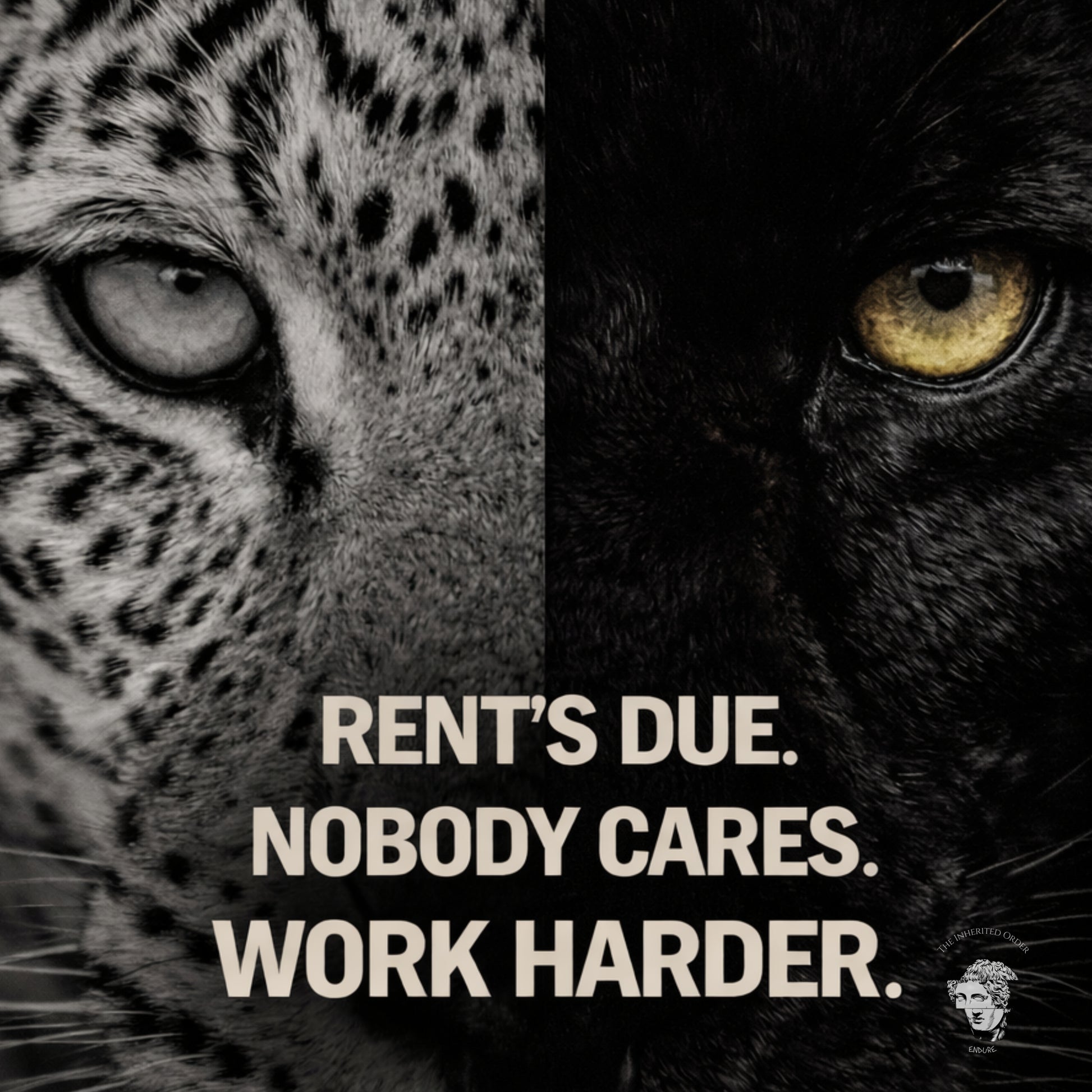 Close-up of split leopard and black panther eyes with bold motivational quote “Rent’s Due. Nobody Cares. Work Harder.” high-contrast animal portrait artwork.