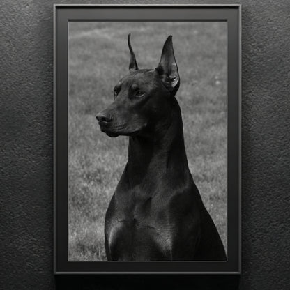 Minimal black and white Doberman dog portrait in slim black frame against textured wall