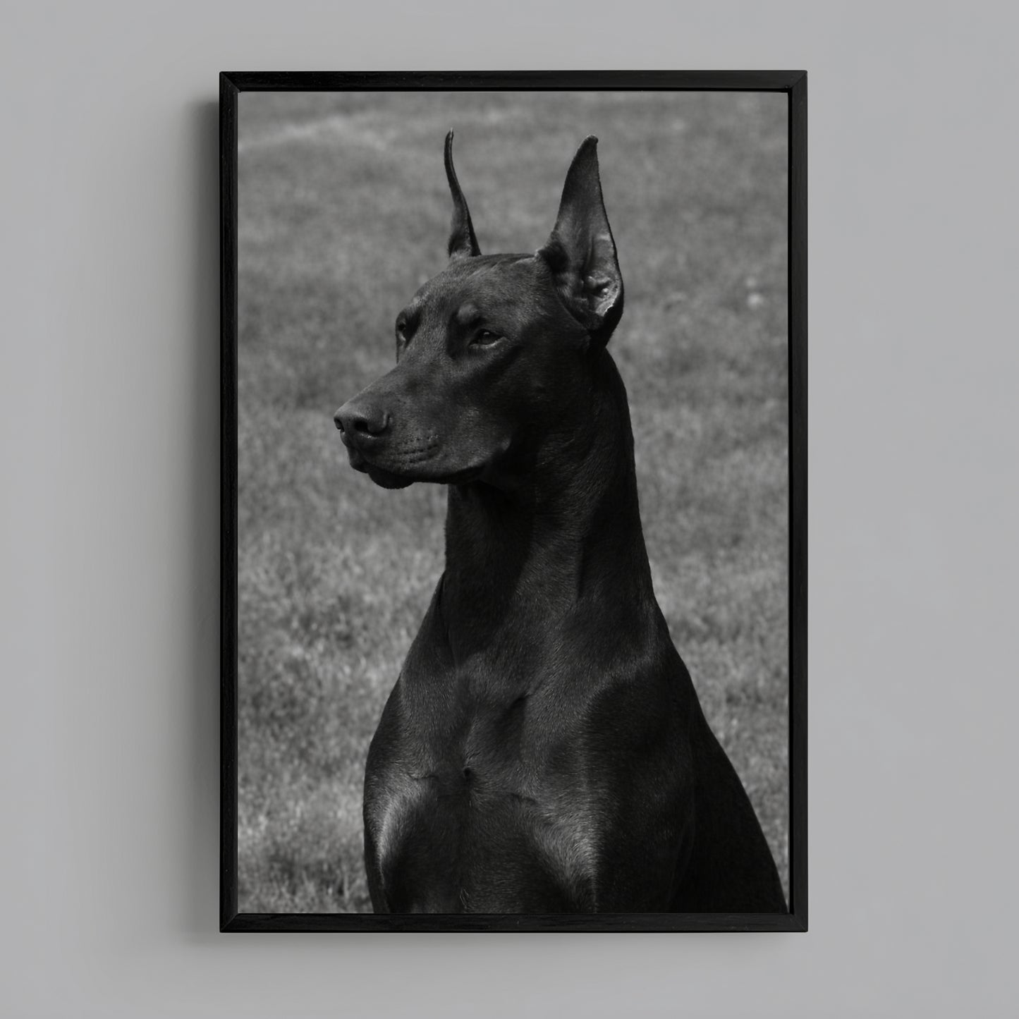Minimalist black and white Doberman portrait wall art in black frame on clean white wall