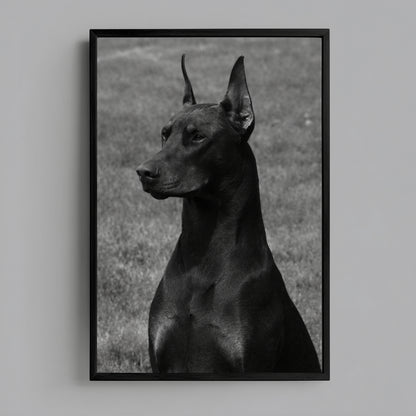Minimalist black and white Doberman portrait wall art in black frame on clean white wall
