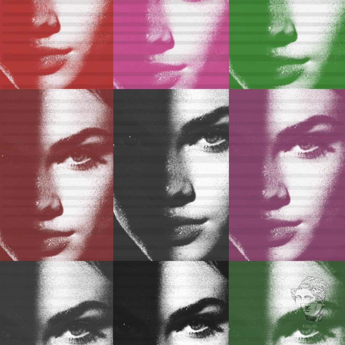 Close-up detail of pop art female portrait grid print, red pink green color block icon inspired artwork